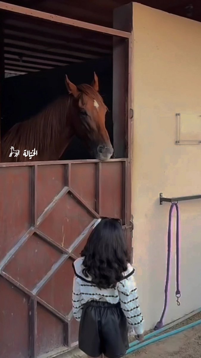 -

رزّتيِ رزّة فرسّ ما طالها كل خيّال 𓃗