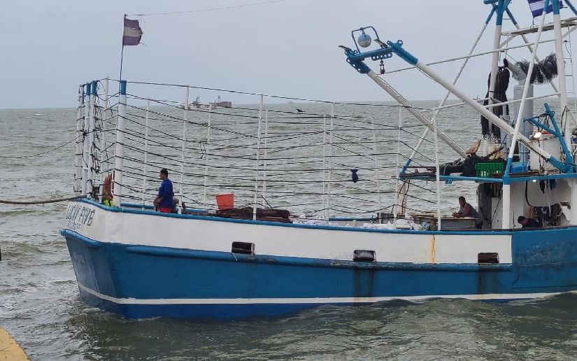 Inicia Temporada de Pesca de la Langosta del Caribe 2025/2026 el19digital.com/articulos/ver/… #El19digital  #INPESCA #TodosLosTriunfosSonDelPueblo