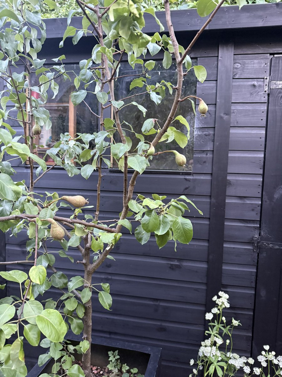 👍🏼👀👏🏼 tweet media