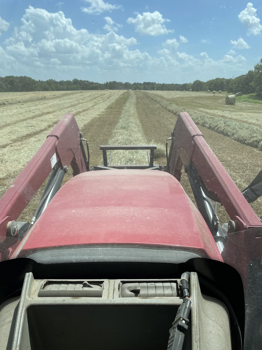 RCF_2008's tweet image. Some size able windrows.