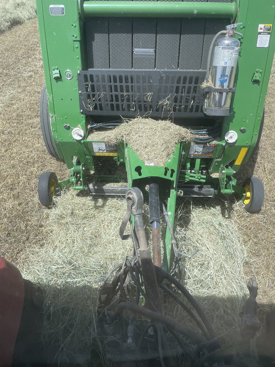 RCF_2008's tweet image. Some size able windrows.