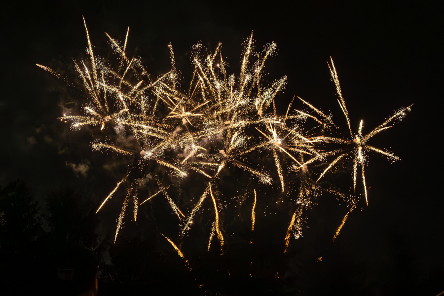 Firework Facts!

✨ We've celebrated 4.2 million success stories (Wow!)
✨ More than 110,000 students have access to health, hunger, and hygiene resources in Missouri. 
✨ We have an average of 1,600 volunteers a year! 

We want all kids to shine (and sparkle) all year long.