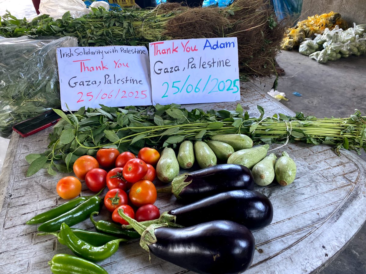 Dignity for Palestinians Campaign tweet media