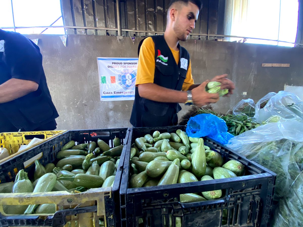 Dignity for Palestinians Campaign tweet media