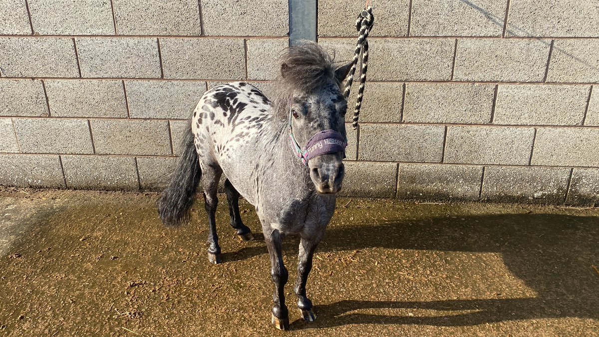 Bath time at the zoo