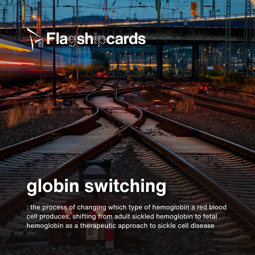 What is globin switching?

In people with sickle cell disease, increasing fetal hemoglobin (HbF) can prevent red blood cells from sickling and blocking blood vessels. Reactivating HbF is a recognized therapeutic strategy that can significantly reduce disease burden.

Globin