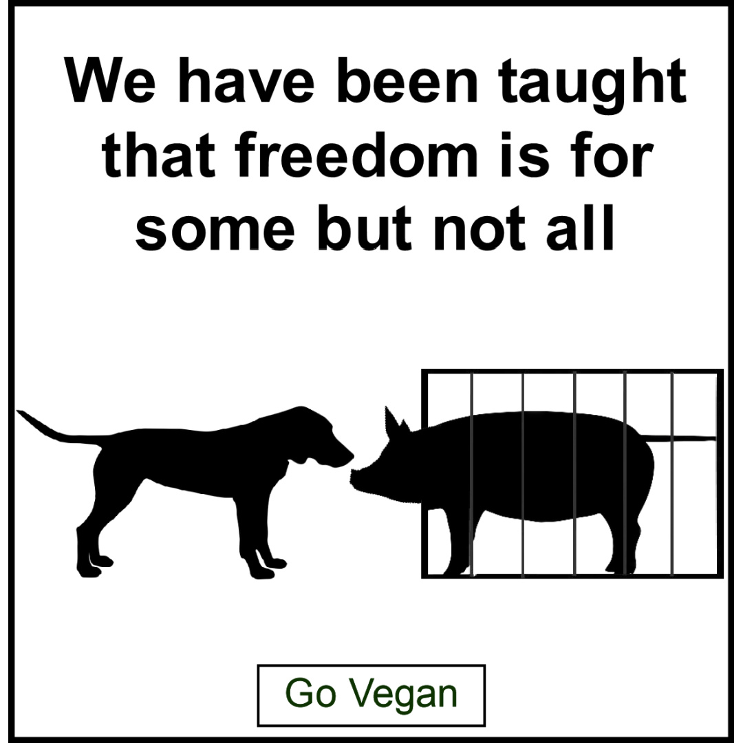animalsoutloud's tweet photo. #freedom #liberty #independence #freedomforall #endspeciesism #liberation #freedomforanimals #animals #independenceday https://t.co/TwuOs1fcHm