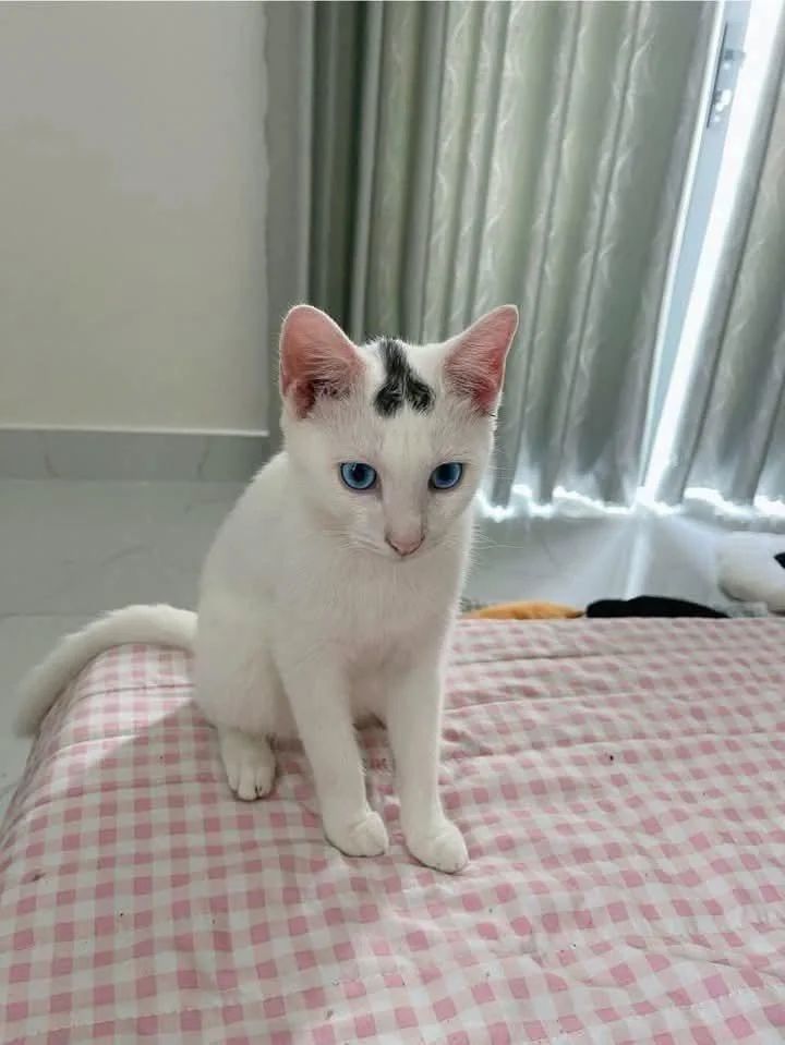 Unfortunate birth mark.