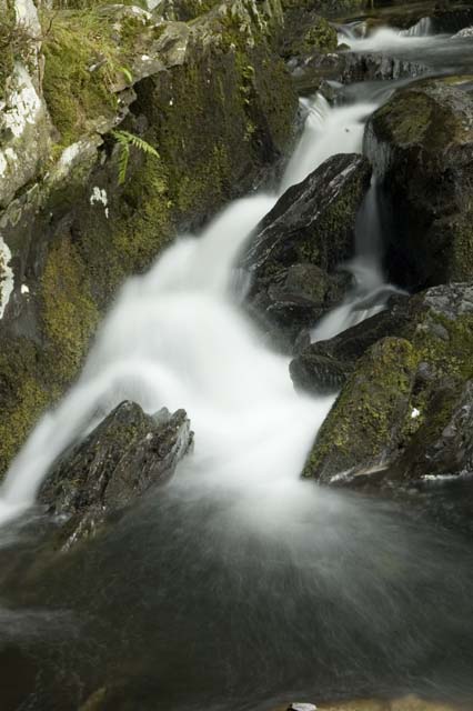 photos_dsmith's tweet image. #Llanbedr #Waterfall in slow motion, a #longexposure #photograph #shot in #eryri #Snowdonia @visit_snowdonia #nationalpark #NorthWales #Wales #UK. #PictureOfTheDay #landscapephotography #thegoodlife #naturesbeauty #natureisbeautiful for more see darrensmith.org.uk
