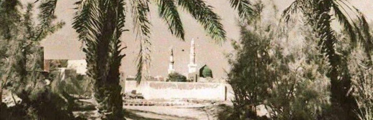 Resûlullah sav şereftir, onurdur, ona uzanan diller lal ola...

#lemandergisikapatılsın