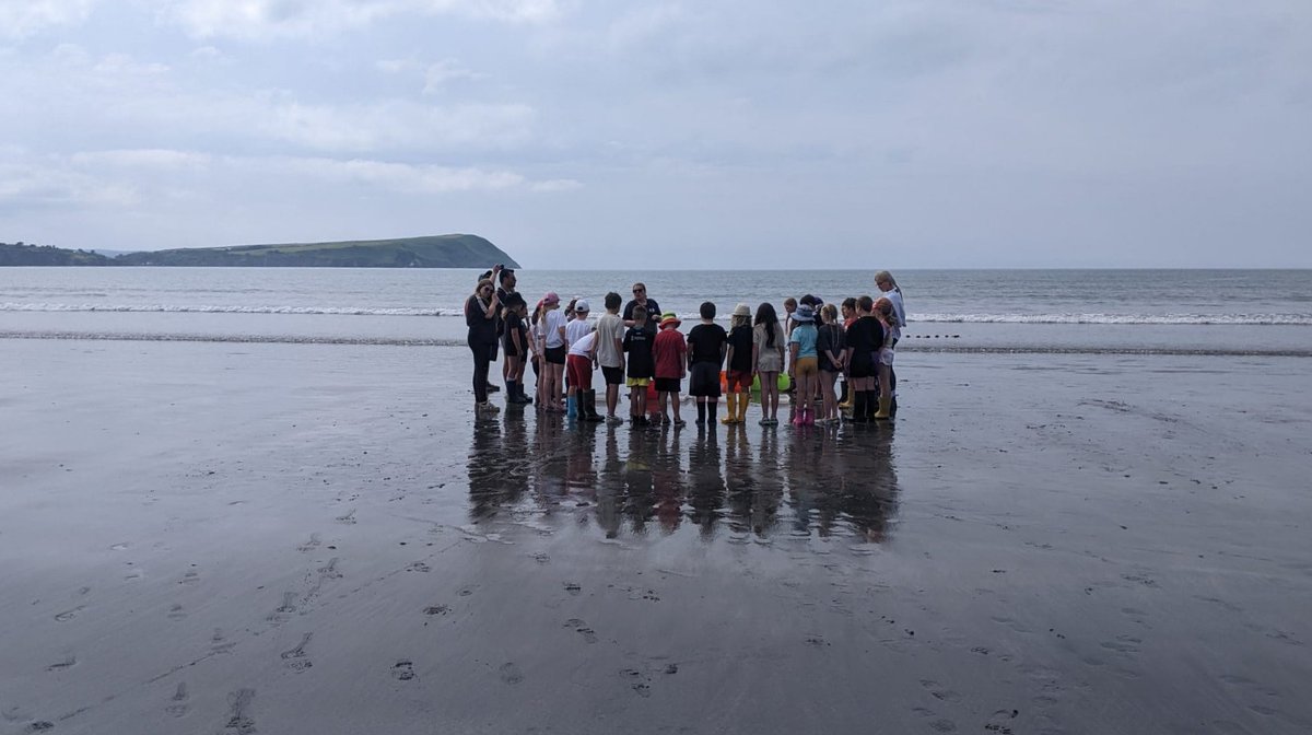 darwincentre's tweet image. A great day beach cleaning and netting with year 4 from @penrhyndewi, part of their residential with @UrddSirBenfro! Pupils loved push netting and seine netting, finds included jellyfish, flat fish, shrimp, crabs and a weever fish! #STEMfieldtrip #MarineBiology