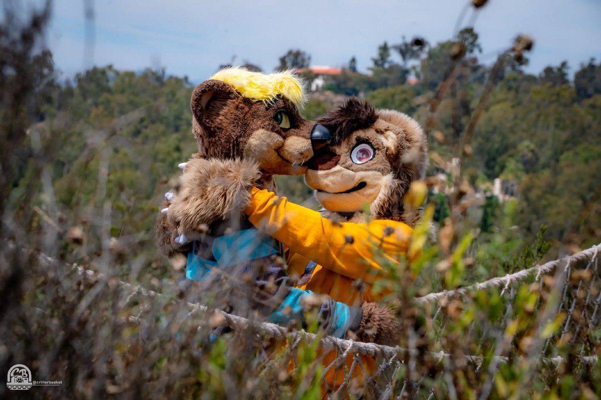 📷🦌- Caught some lovely pics of these pair of otters hanging out and being cute.

🦦🧡🦦