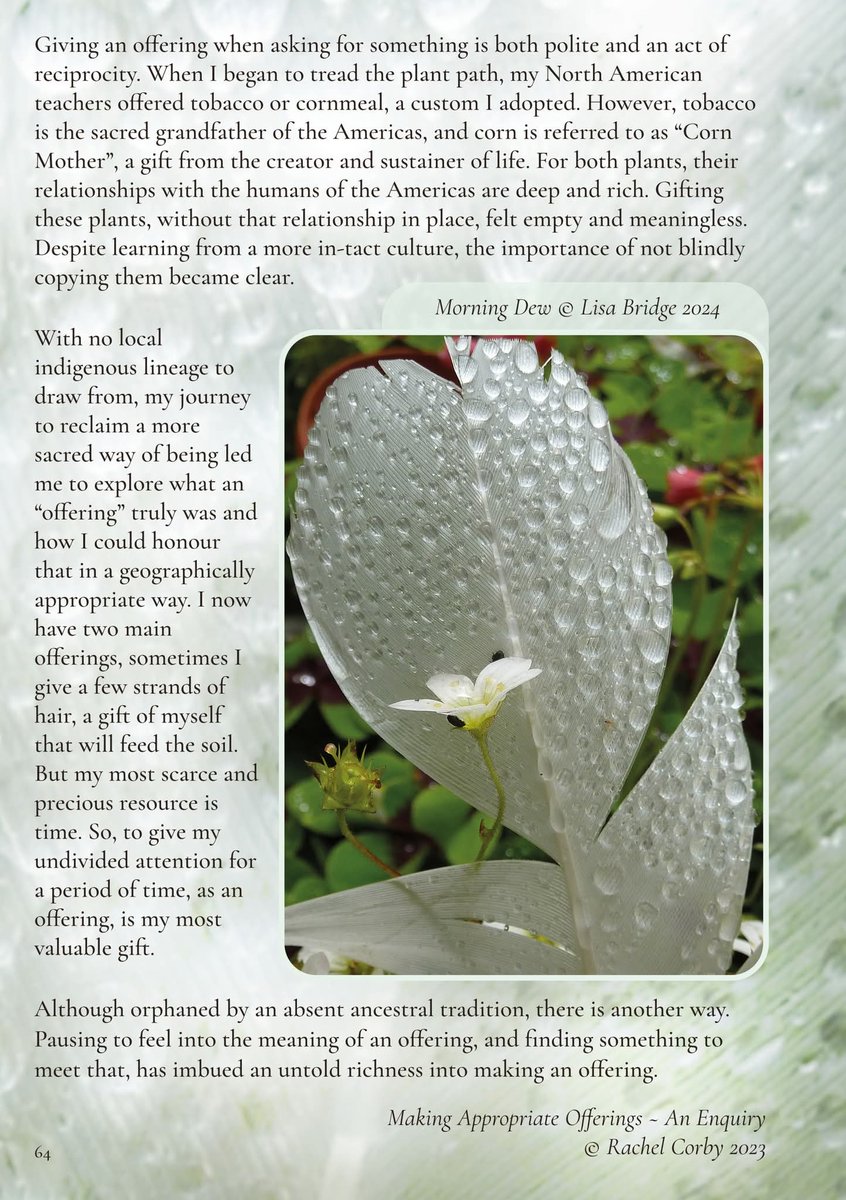 Earth Pathways Diary 💚 Connection to the Land (@earthpathways) on Twitter photo This week's #diary page
#Words: 'Making Appropriate Offerings' by Rachel Corby AKA <a href="/mugwortdreamer/">Rachel Corby</a> > earthpathwaysshowcase.uk/contributors/c…
#Photography: 'Morning Dew' by Lisa Bridge AKA Rainbow Shaman > earthpathwaysshowcase.uk/contributors/b… This week's #diary page
#Words: 'Making Appropriate Offerings' by Rachel Corby AKA <a href="/mugwortdreamer/">Rachel Corby</a> > earthpathwaysshowcase.uk/contributors/c…
#Photography: 'Morning Dew' by Lisa Bridge AKA Rainbow Shaman > earthpathwaysshowcase.uk/contributors/b…