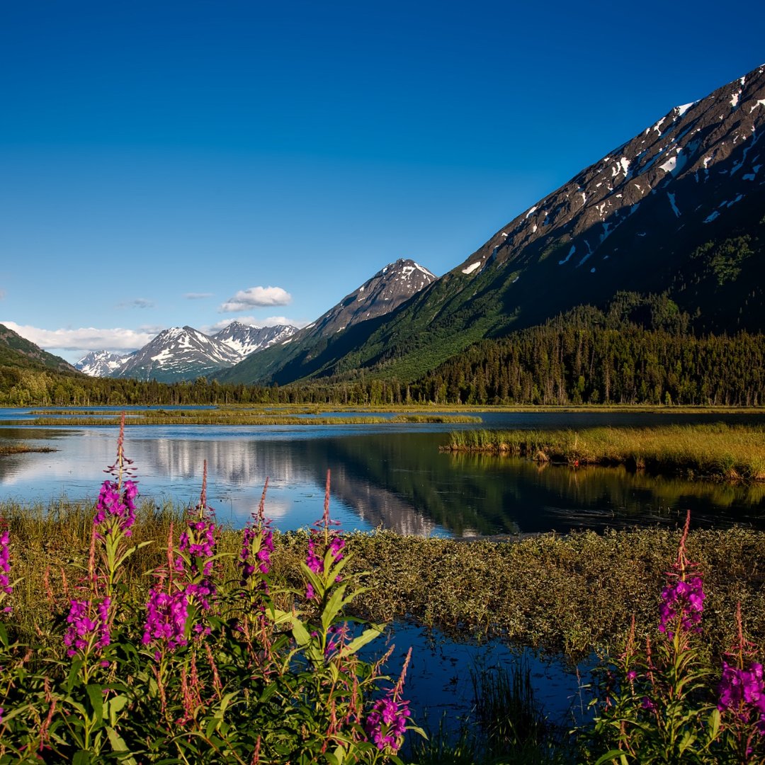 Sacramento International Airport (SMF) (@flysmf) on Twitter photo Alaska, here we come! 🐻✈️ In case you missed it, SMF now has a brand new nonstop to Anchorage (<a href="/ANCairport/">Anchorage Airport</a> ) through <a href="/AlaskaAir/">Alaska Airlines</a> , perfect for escaping the Sacramento heat in July. 🥵➡️❄️ Alaska, here we come! 🐻✈️ In case you missed it, SMF now has a brand new nonstop to Anchorage (<a href="/ANCairport/">Anchorage Airport</a> ) through <a href="/AlaskaAir/">Alaska Airlines</a> , perfect for escaping the Sacramento heat in July. 🥵➡️❄️