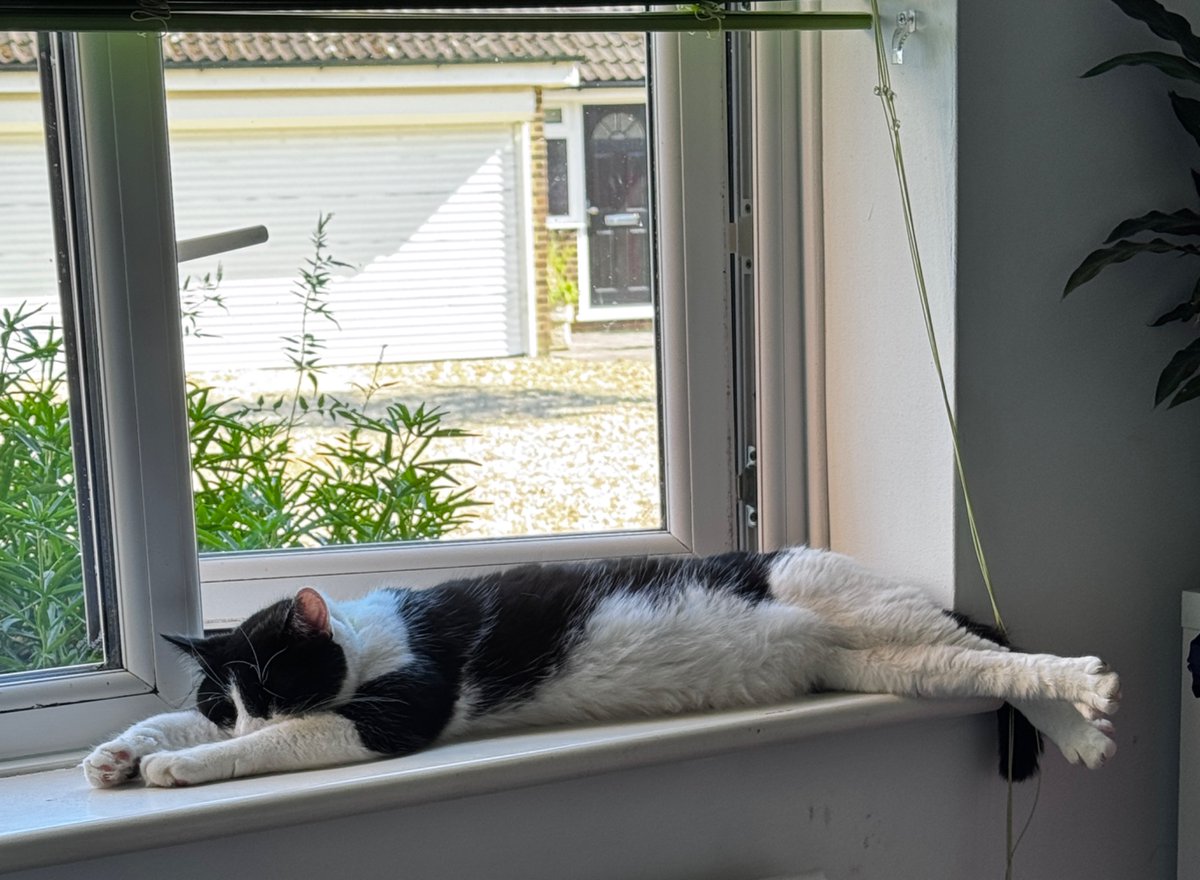 UK mood right now #heatwave2025