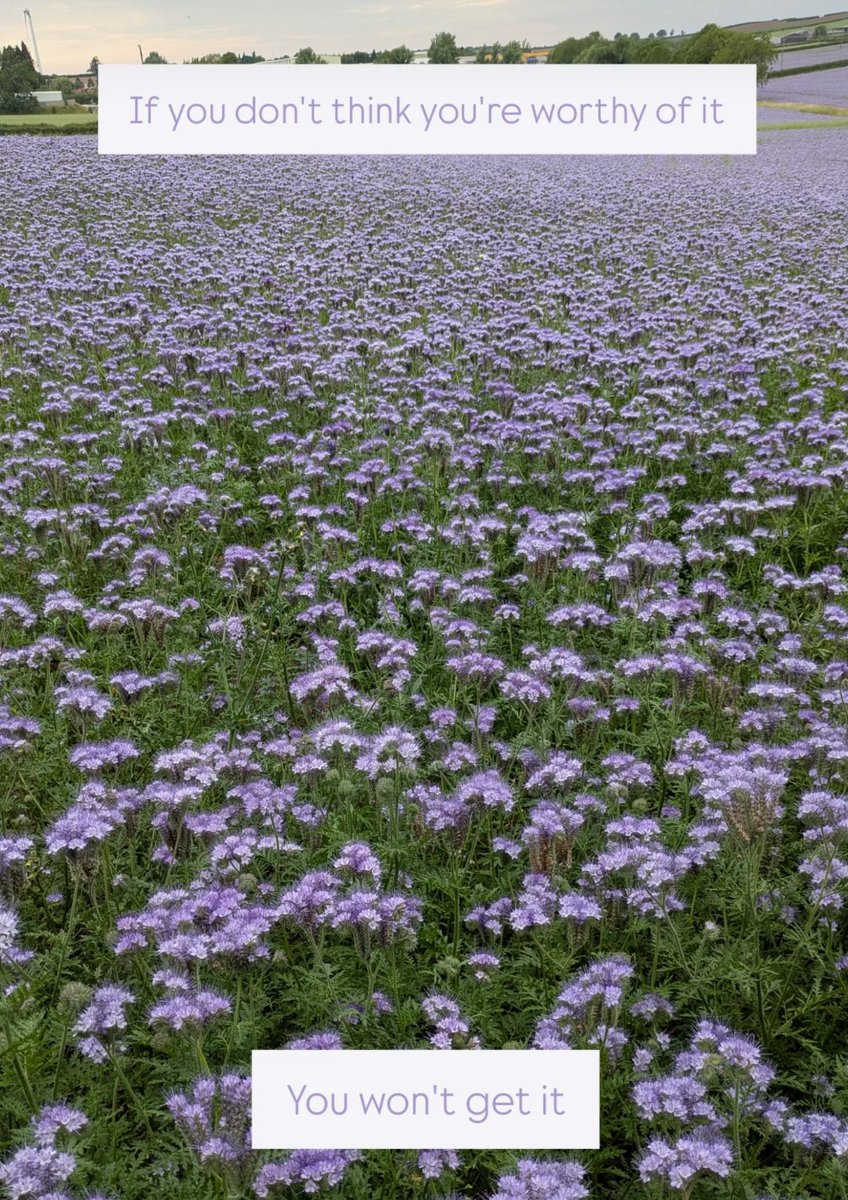 infinity visualized 🌈 tweet media