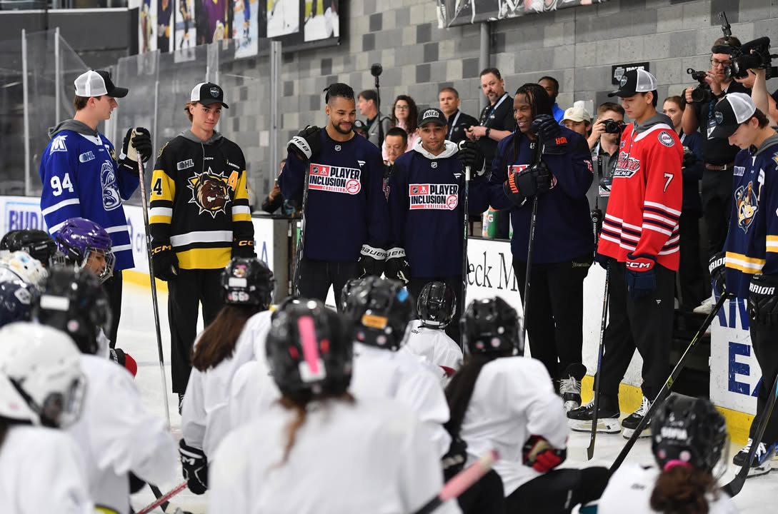 NHL Player Inclusion Coalition tweet media