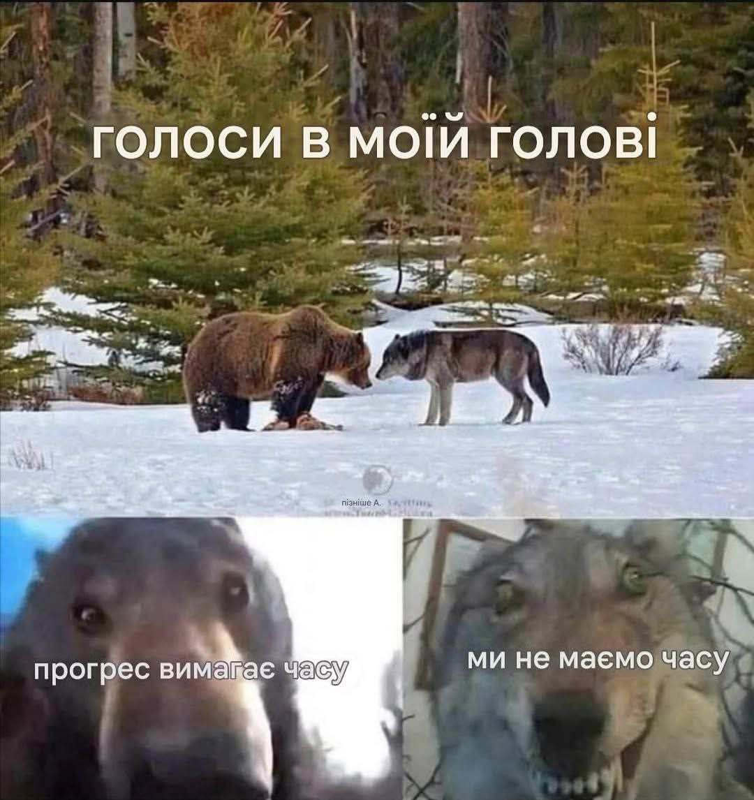 dmkol33's tweet photo. Дякую ЧГУ за пояснення всього, що відбувається в моєму житті! https://t.co/OqpkDYlaxf