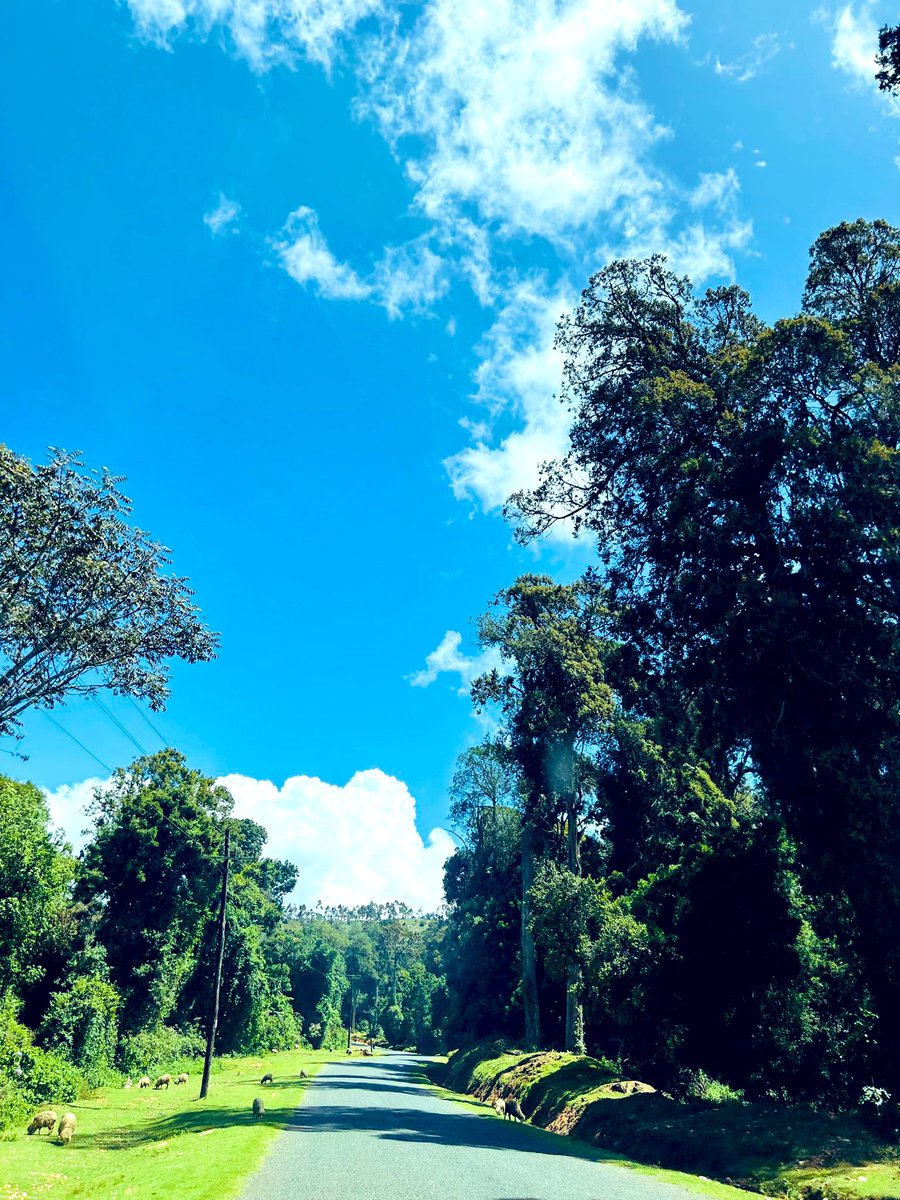 Kapyoseiin's tweet image. Post a picture YOU took. 

Just a pic. 

No description.