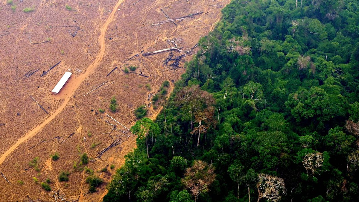 CarbCredAfrica's tweet photo. Africa’s forests absorb 1.2B tons of CO₂ yearly.  
💰 Carbon credits = pay to protect them.  
🌱 #COP15 must scale this!  
#climatefacts #actnow https://t.co/EDEgH5bRgt
