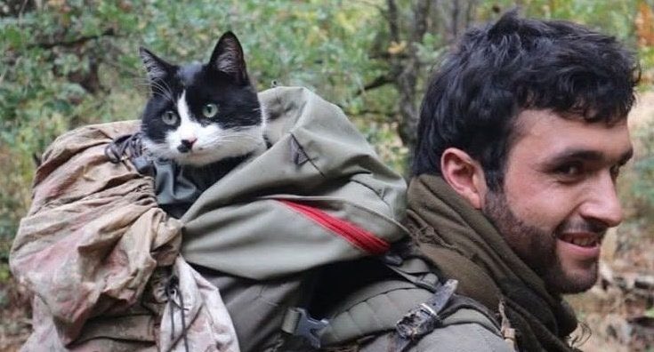 kurdishvisuals's tweet image. Kurdish fighter with his cat