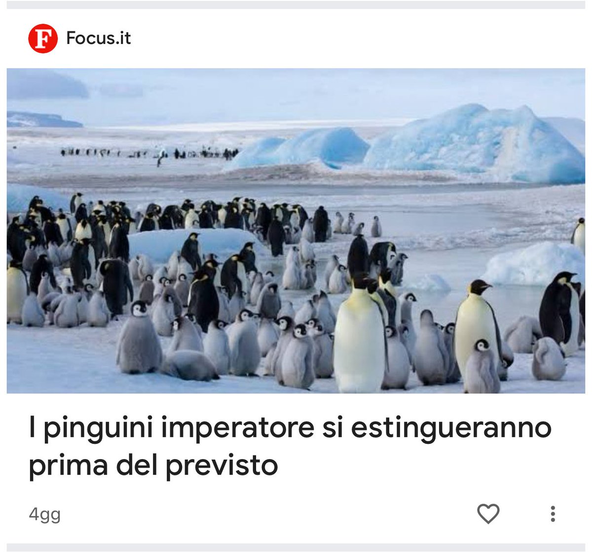 Slowflute's tweet image. Una vera tristezza…(è la fine di tutti gli imperatori…)
#pinguini #natura #cultura