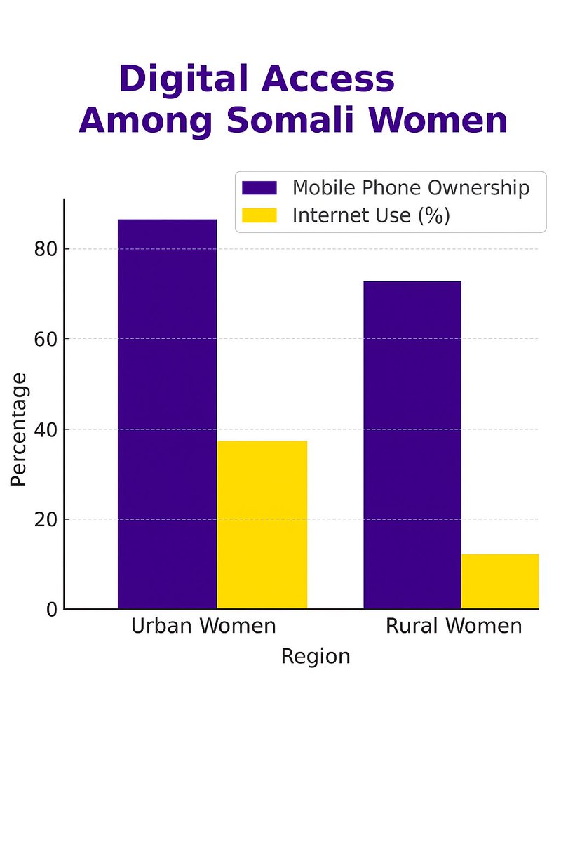 Read our recent analysis on Somali women and digital media, which examines trends in participation, access, representation, and safety. The report highlights both progress and persistent challenges, underscoring the need for targeted interventions to foster inclusive, secure