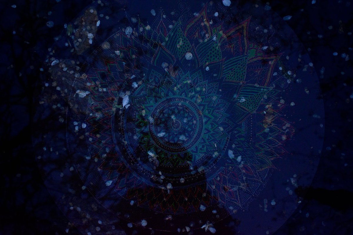 Illusionary369's tweet photo. ✅️Beauty in darkness 🖤
✅️6/6 available @objktcom 
✅️1.93 #tezos 🤑
Read ALT FOR more info ⤵️
https://t.co/IW51BAtbyb
#mandalaart #NFTphotography #YazdIran #conceptualart #AIandphoto #innervision
#NFTartist #NFTCommunity https://t.co/X2VmMuQcWO