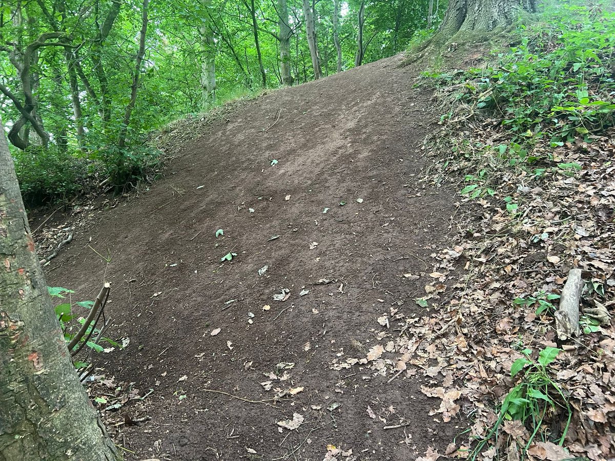 Terry Abraham tweet media