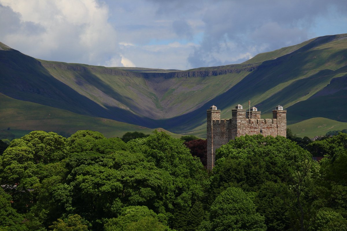 Terry Abraham tweet media