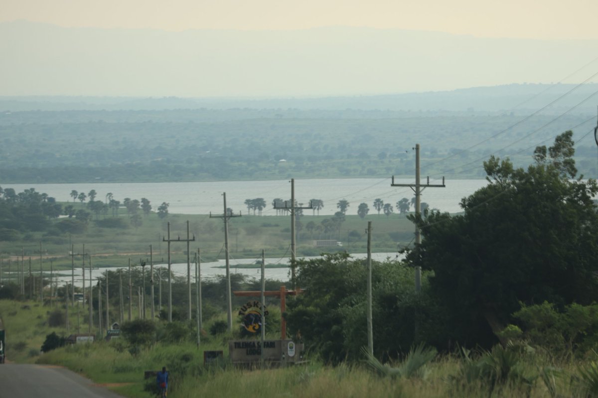 📸Bernard Japhali Kwiringira (@bernardkwiri) on Twitter photo I think the Credit can go to UGANDA Electricity Transmission Company Limited <a href="/uetcl/">UETCL</a> through the CEO <a href="/UETCL_CEO/">Joshua Karamagi, CFA</a> for this great work of extending power to majority parts of the country. You have done your part, it's now <a href="/UEDCLTD/">Uganda Electricity Distribution Company Ltd</a> to distribute it to my village make it stable. I think the Credit can go to UGANDA Electricity Transmission Company Limited <a href="/uetcl/">UETCL</a> through the CEO <a href="/UETCL_CEO/">Joshua Karamagi, CFA</a> for this great work of extending power to majority parts of the country. You have done your part, it's now <a href="/UEDCLTD/">Uganda Electricity Distribution Company Ltd</a> to distribute it to my village make it stable.