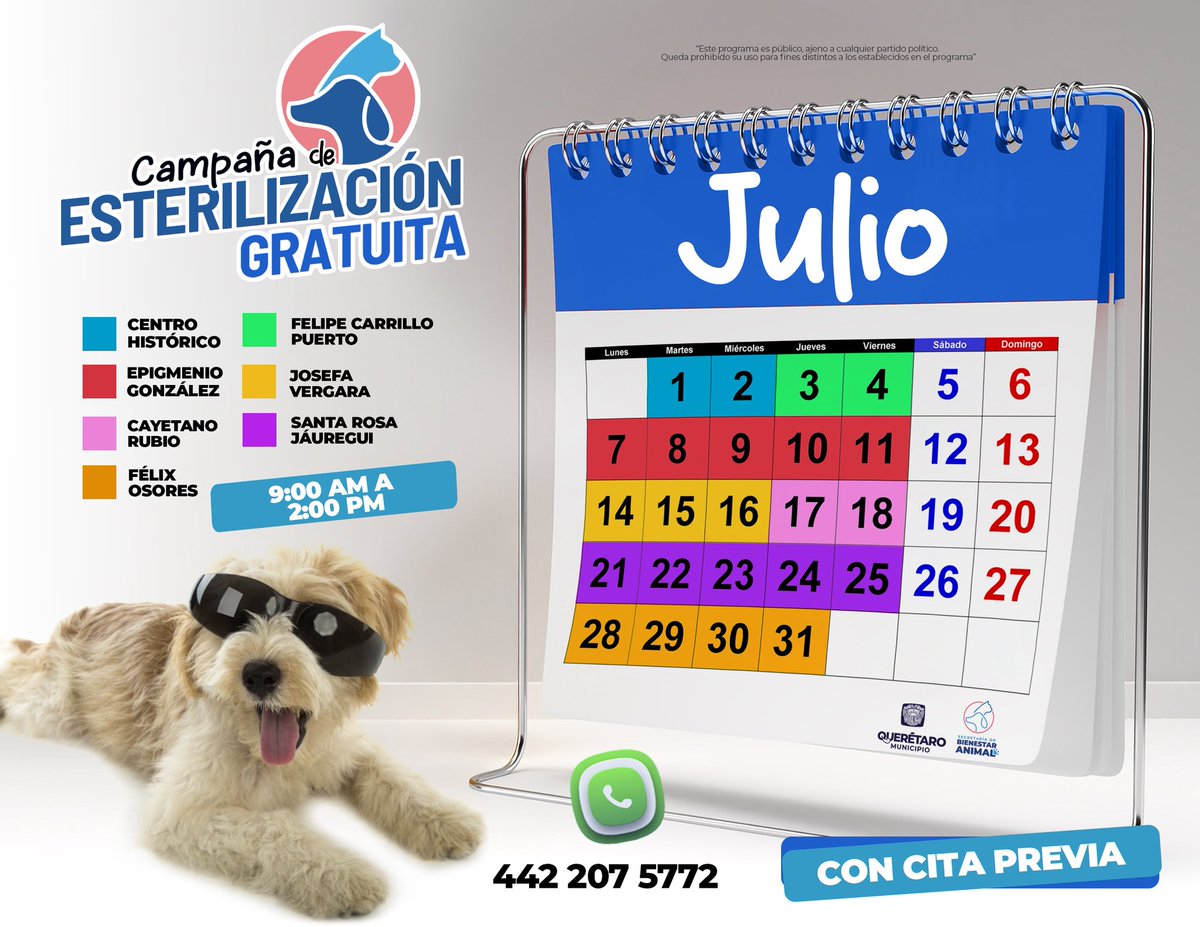 Durante todo el mes de julio llevaremos jornadas de esterilización gratuita a distintas delegaciones de Querétaro.
🐶🐱 La esterilización previene enfermedades y reduce el abandono.

📍Consulta fechas y sedes.
🔹Cupo limitado, agenda por WhatsApp: 442 207 5772