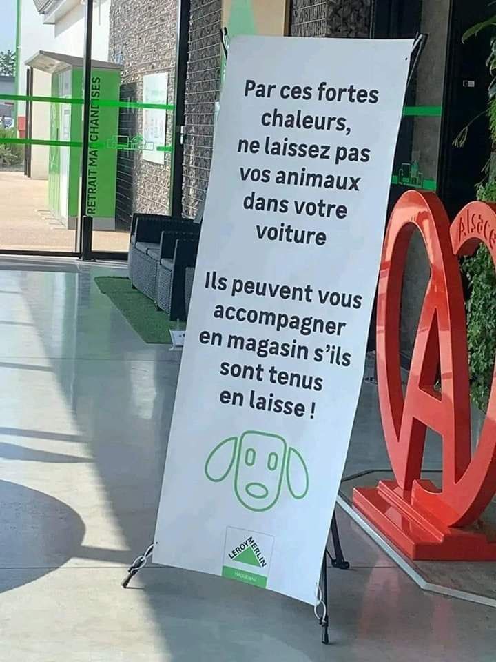 Du bon sens Bordel!🇫🇷 (@bonsensbordel) on Twitter photo 👏Bravo à <a href="/leroymerlinfr/">Leroy Merlin</a> pour cette initiative en faveur de la protection de nos animaux !
On voit encore trop d’animaux laissés dans les voitures en ces périodes de canicules…🐾💔 👏Bravo à <a href="/leroymerlinfr/">Leroy Merlin</a> pour cette initiative en faveur de la protection de nos animaux !
On voit encore trop d’animaux laissés dans les voitures en ces périodes de canicules…🐾💔