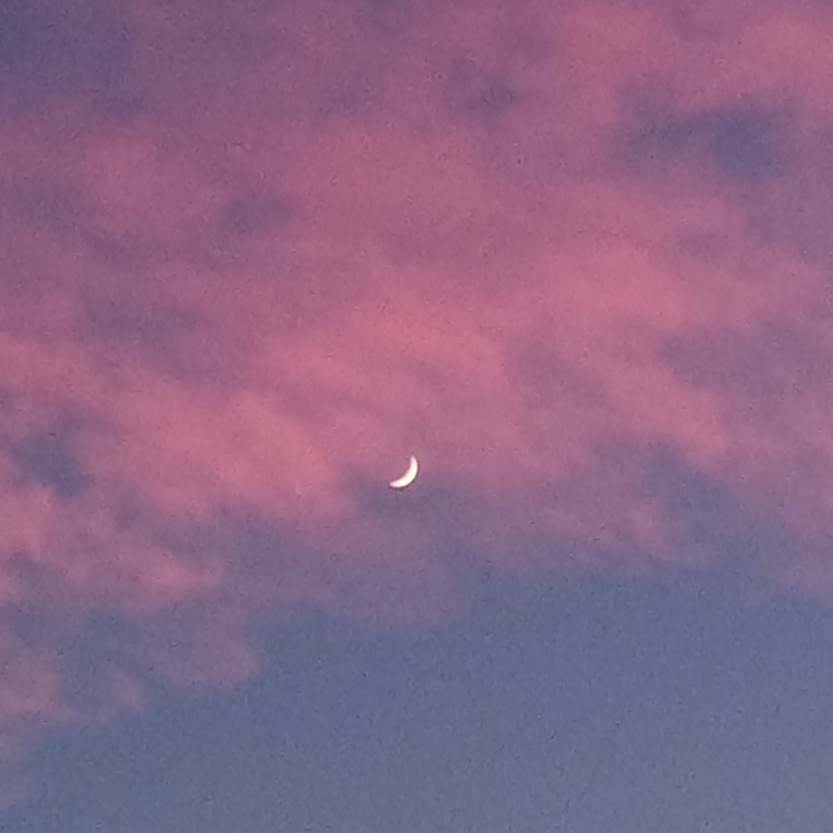 JARose72185216's tweet image. May we find wonder in the ordinary 🌙♥️