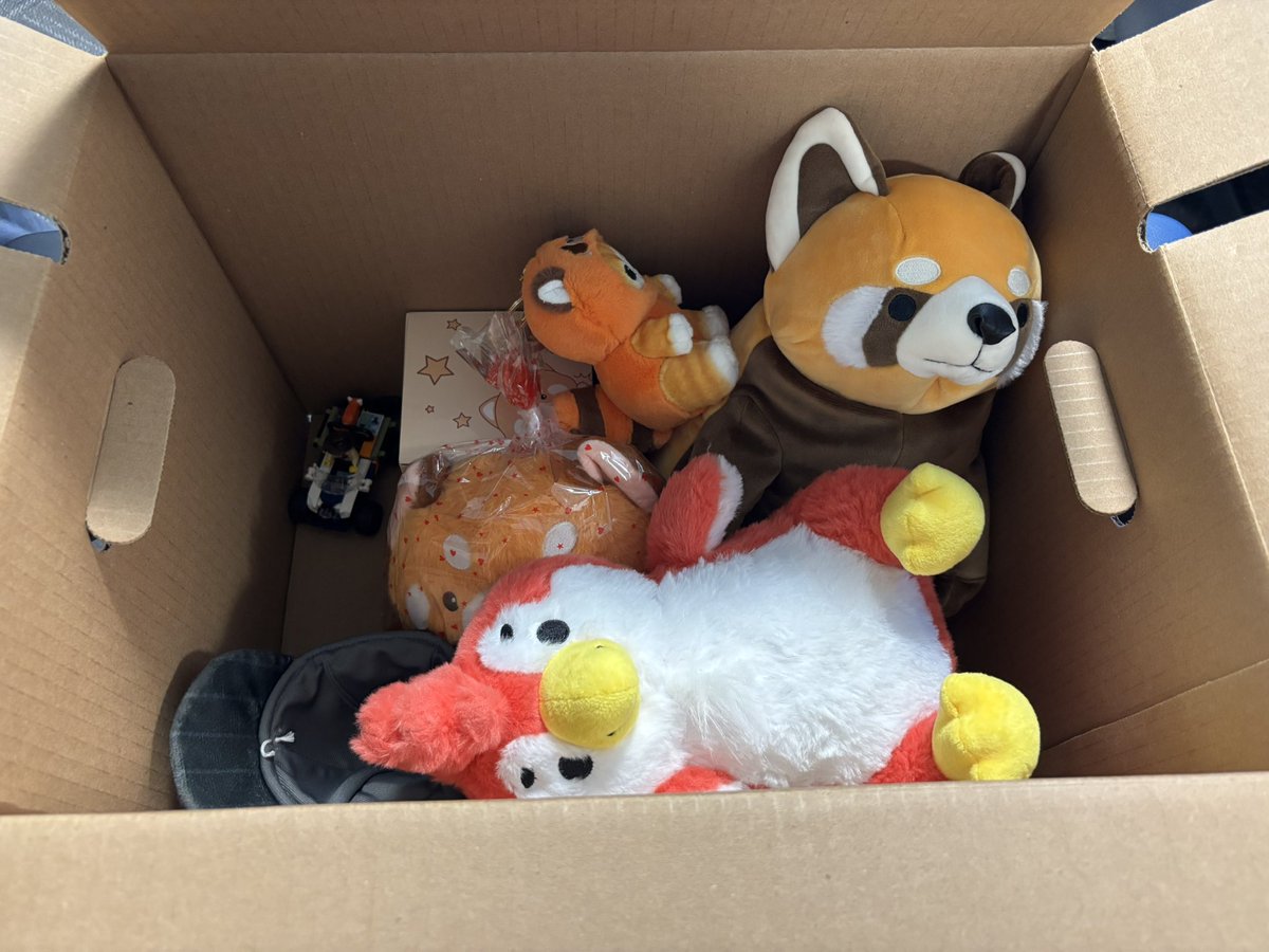 AcePandaMagic's tweet image. Coworker said the way I packed my box for quitting looks like how a kid packs for running away from home.