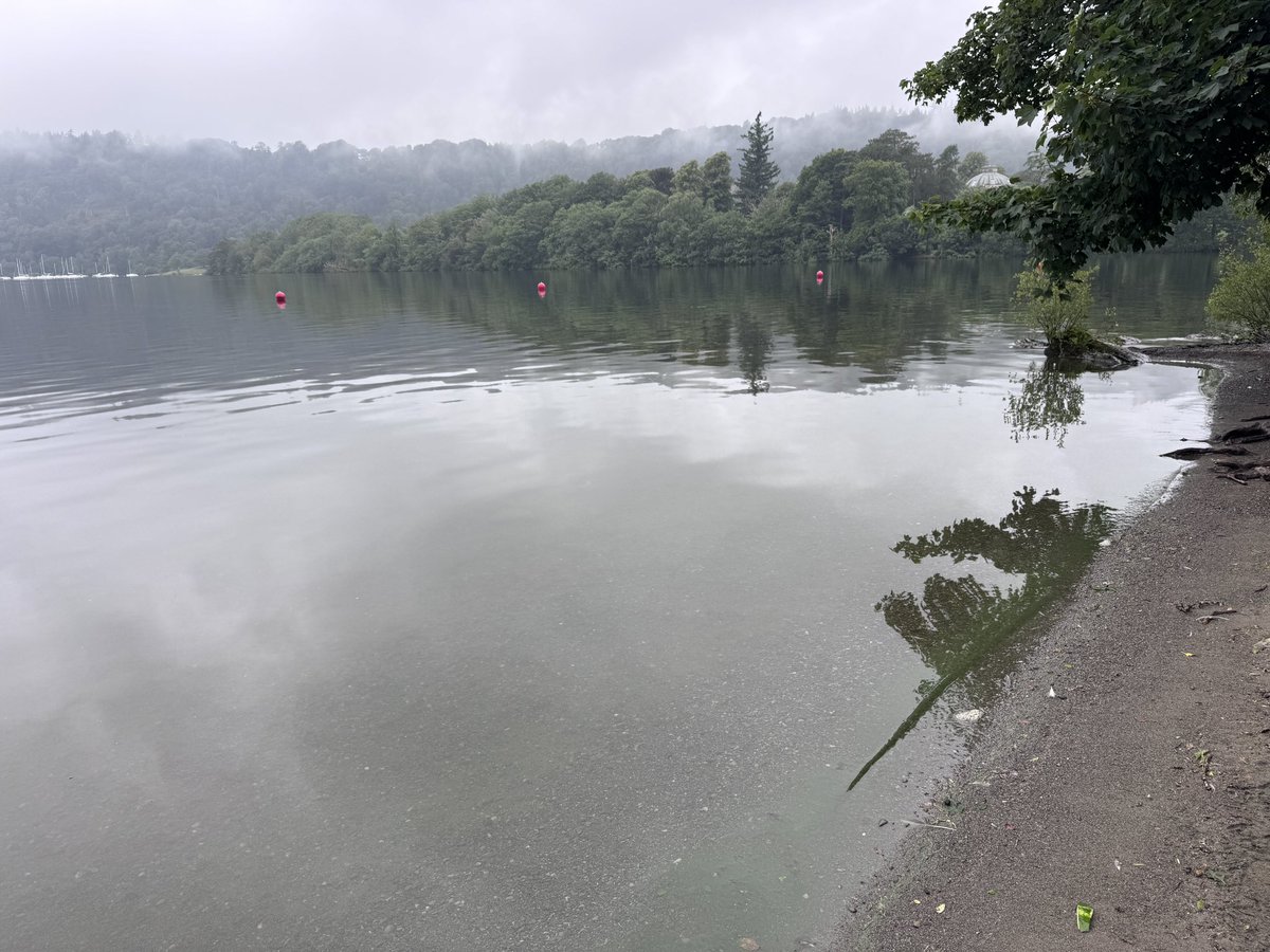 Green algae on a Windermere this morning 30th June. <a href="/BBC_Cumbria/">BBC Cumbria</a>