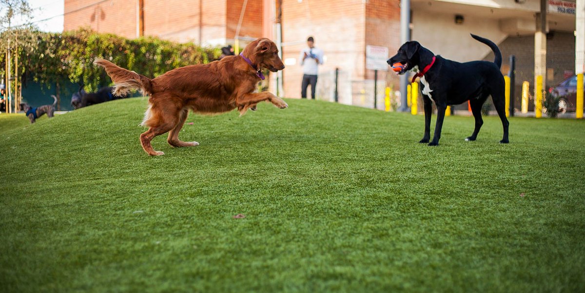 Crouch Recreation tweet media