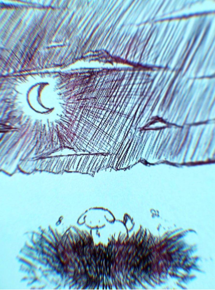 what a lovely night ★☆★☆