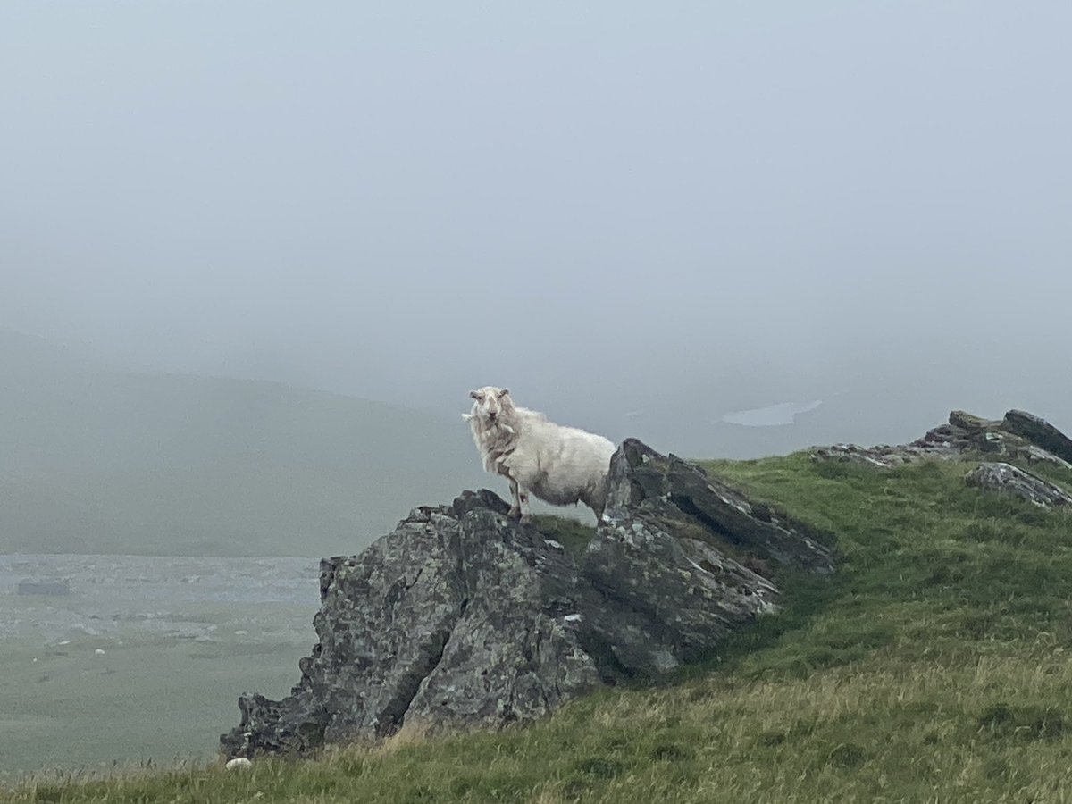 Moel yr Hydd- yr unig gopa di-gwmwl yn ‘Stiniog heno!