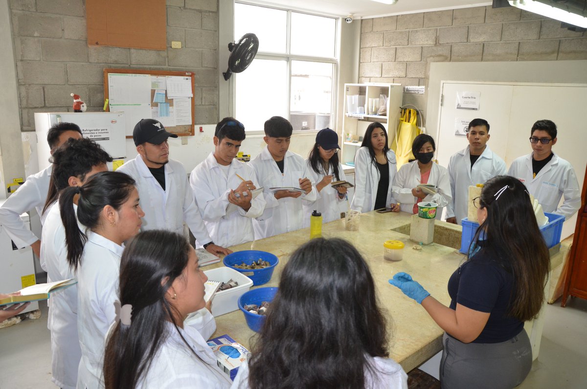 CENAIM (@cenaim_espol) on Twitter photo Seguimos contribuyendo con el desarrollo académico de los estudiantes de las carreras afines a la #acuicultura. En días pasados recibimos la visita de un grupo estudiantes que cursan la asignatura #Piscicultura 🐟de la carrera de #Biología de la <a href="/UleamEcuador/">Uleam Ecuador</a> . Seguimos contribuyendo con el desarrollo académico de los estudiantes de las carreras afines a la #acuicultura. En días pasados recibimos la visita de un grupo estudiantes que cursan la asignatura #Piscicultura 🐟de la carrera de #Biología de la <a href="/UleamEcuador/">Uleam Ecuador</a> .