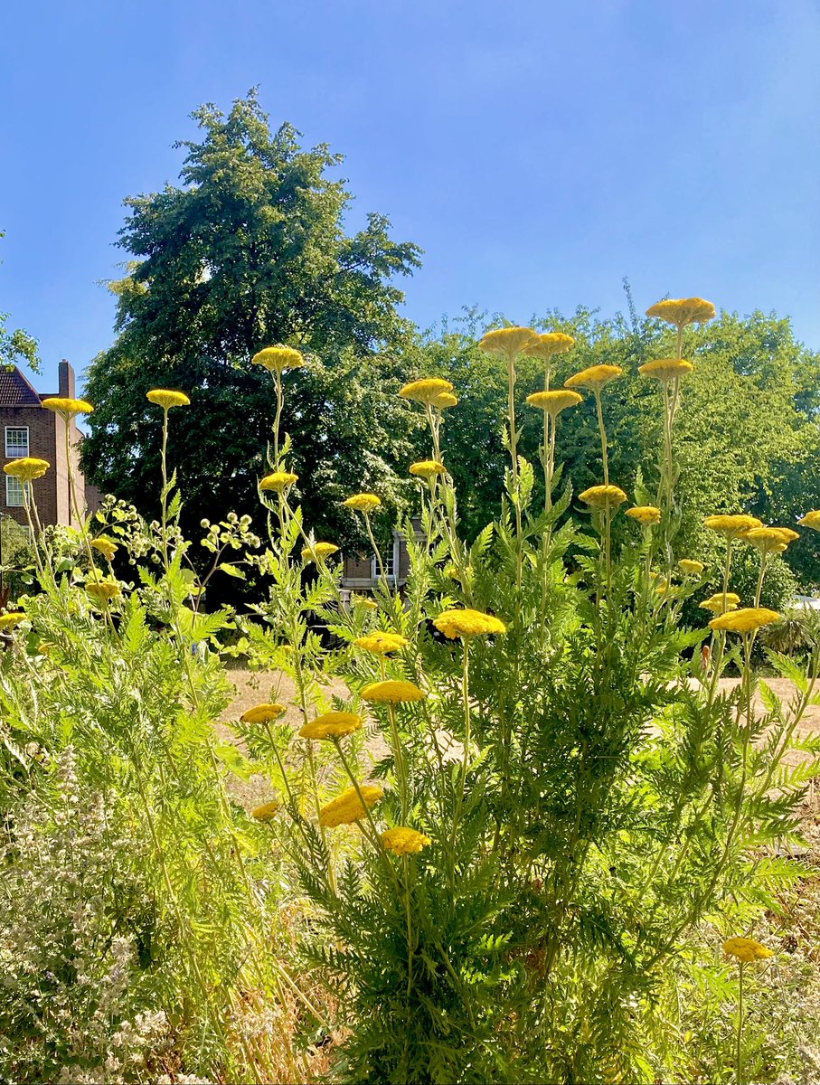 Waterloo. 
#reasomtolovelondon