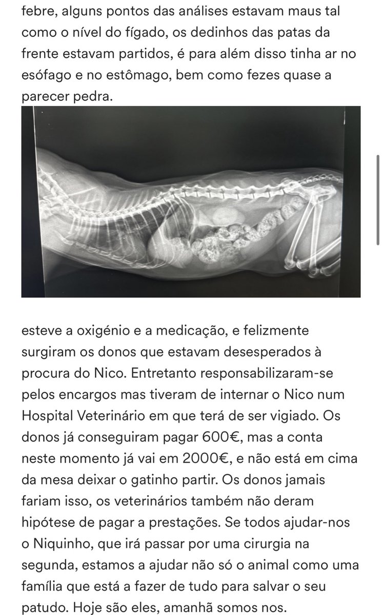 ALERTA 🚨

Quem quiser ajudar, enviem mensagem privada 🤍🤍🤍🤍