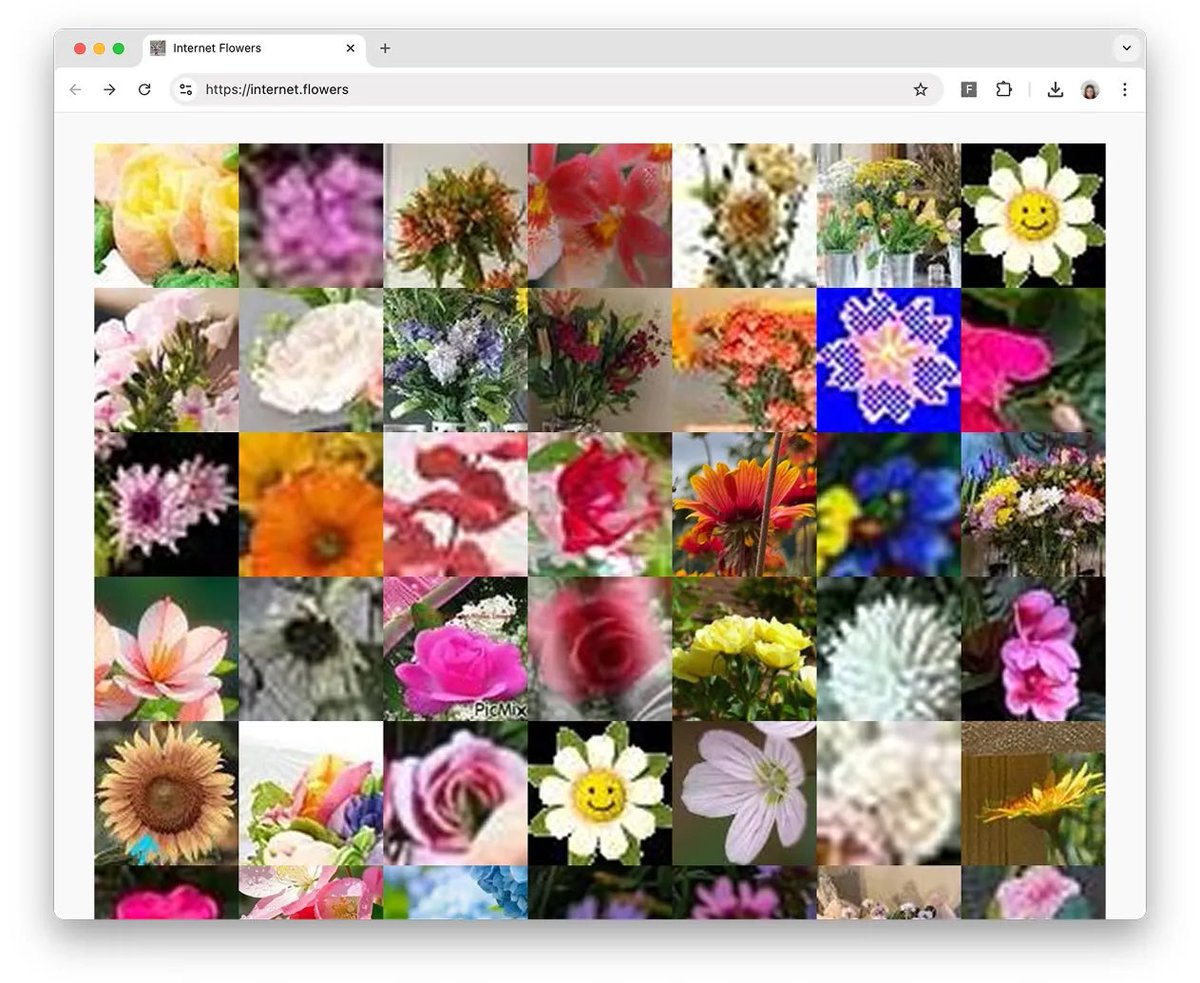 internet.flowers 
Coming to verse artists rooms - july 9

internet.flowers is a garden made entirely from my internet browsing history &gt;.&lt;

Using a chrome extension i made every website i visited was scanned by an ai i trained to detect flowers. If a flower was