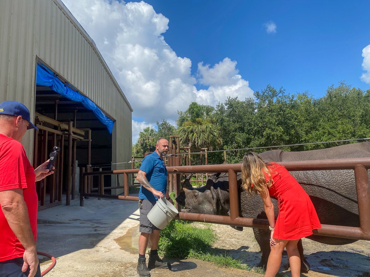 Wellons_PR's tweet photo. Last week was a busy one at the @centralflzoo! 🎥 @WPTV  stopped by to film their "Finding Florida" segment, and @accuweather  came out to share how animals (and YOU) can stay cool this summer. ☀️ We love sharing our clients' stories in new and creative ways! https://t.co/QloxjcL4Uk