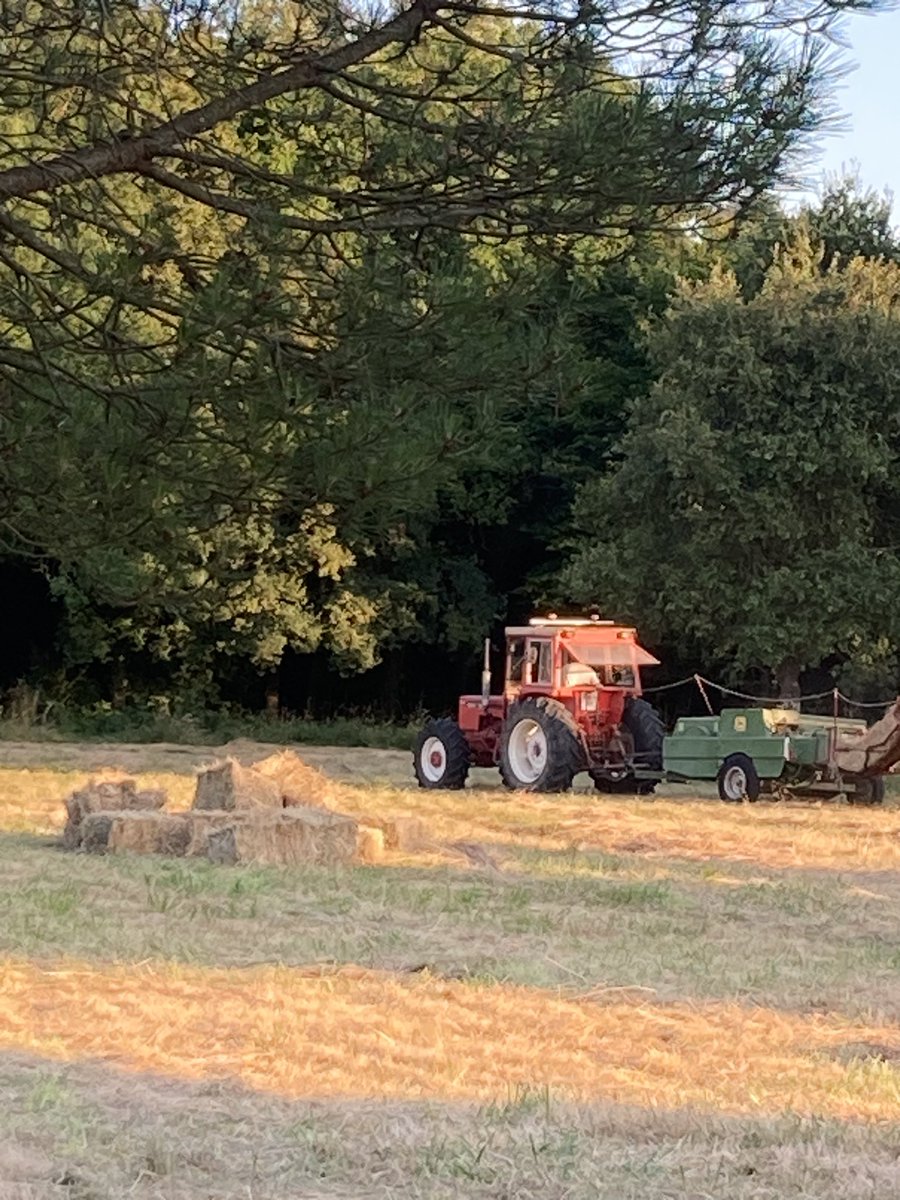 EtGarco's tweet photo. Last day of June in the Loire Valley. https://t.co/uhRgTBrutt