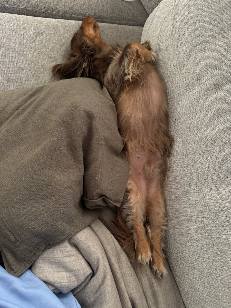 Louise tweet media