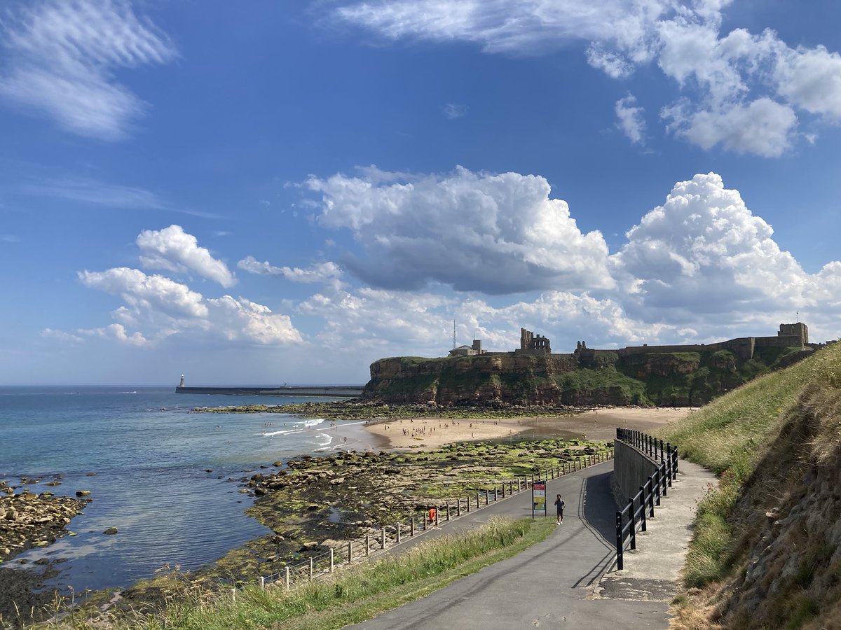 Rachel James Brown, AKA Rockin’ Rachel Roll tweet media