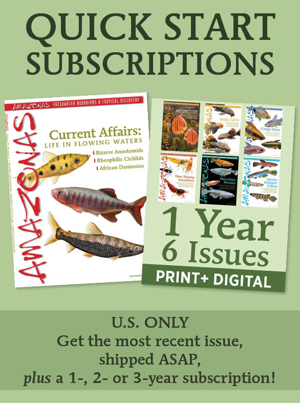 AmazonasMag's tweet image. If you're in the U.S. and MISSED the deadline for the July/August issue of #AMAZONASmagazine, THIS IS YOUR 2nd chance to get the best #aquarium #magazine. No waiting up to 10 weeks. Shop: aquaticmediapress.com/shop/amazonas-…
#amazonas #fish #aquariumhobby #aquariumkeeping #freshwaterfish