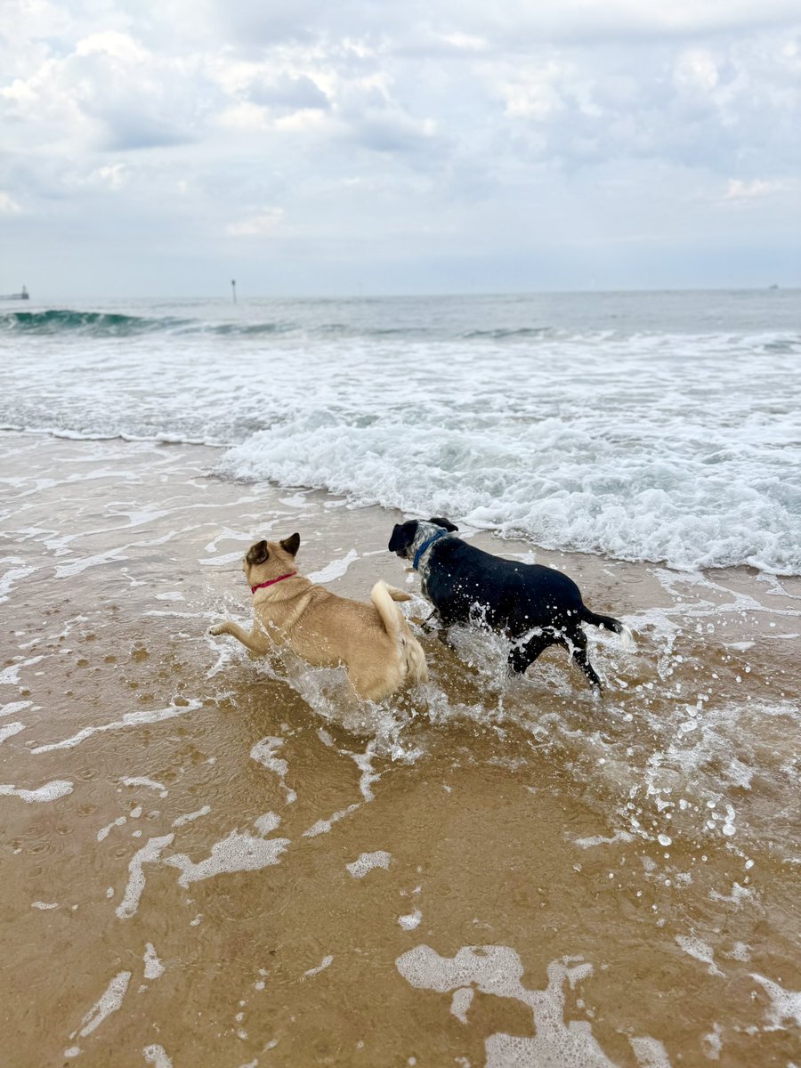Could sit here for days 😌 After school beach trip to chill #northumberland #BeachLife #monday