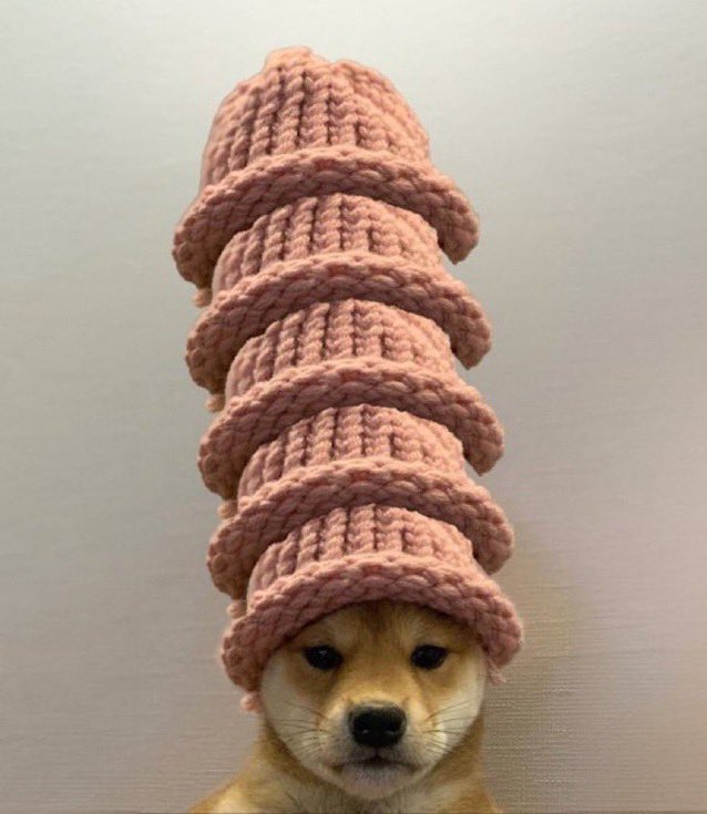 Hat stays on $wif <a href="/dogwifcoin/">dogwifcoin</a>